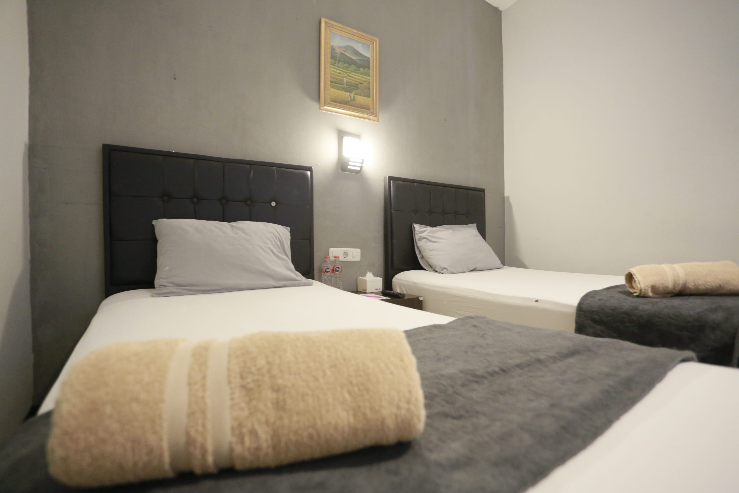 Shorea Inn